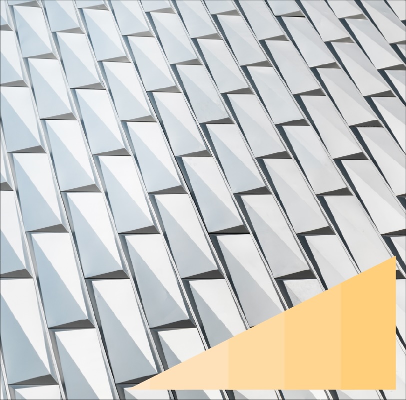 Paneled meshed roof surface
